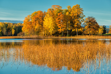 October morning in Sweden