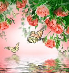 Bouquet of delicate roses and butterfly, floral background