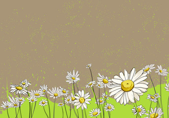 Floral background - 57638938
