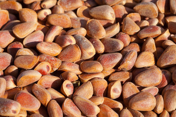 Pine nuts 4