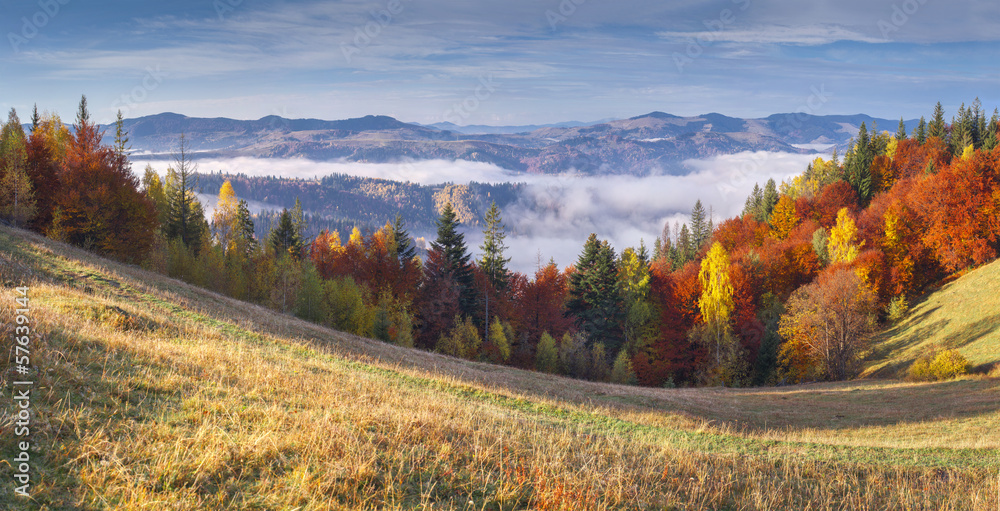 Poster Colorful autumn morning in the mountains.