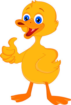 cute little duck thumb up cartoon