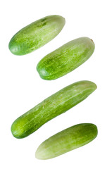 Four cucumber