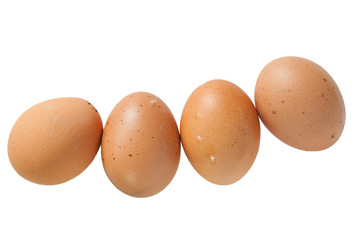 The four eggs