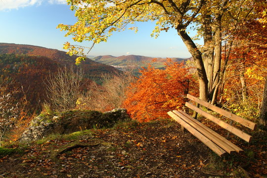 Bank mit Blick auf den herbstlichen Albtrauf