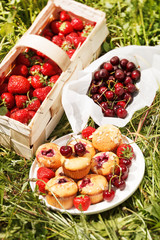 summer muffins