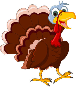 Funny Turkey Cartoon posing