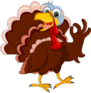 Funny Turkey Cartoon Posing