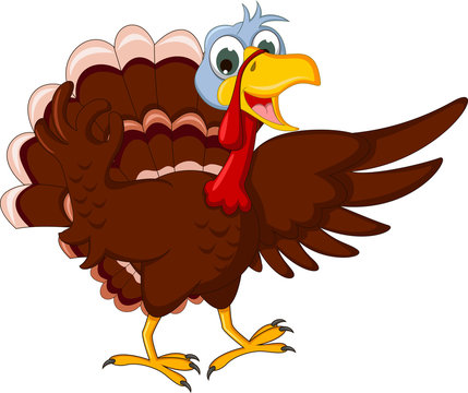 Funny Turkey Cartoon Posing