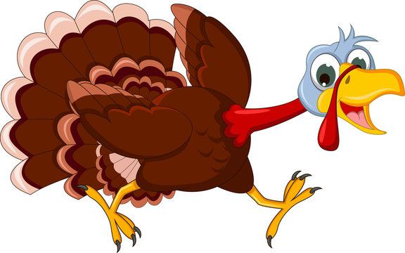 Funny Turkey Cartoon Running