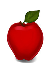 Red apple illustration