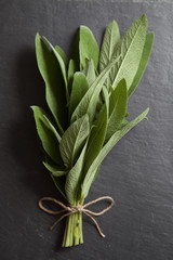 Fresh Herbs: Sage - 57642969