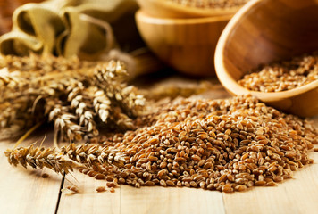 wheat grains