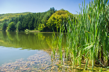 Obraz premium One of many lakes at Semenic national park
