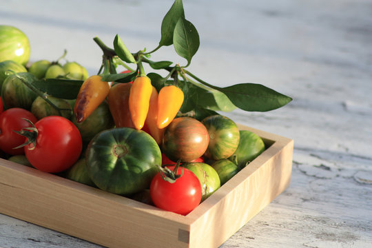 Tomaten und Peperoni