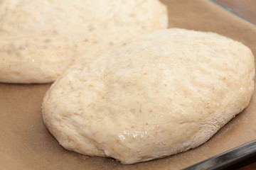 bread making - two formed loaves of raw dough