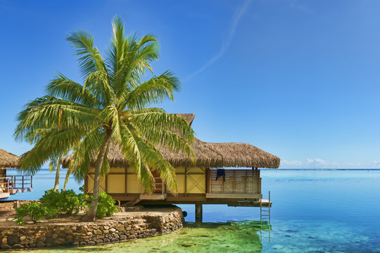 Franz&ouml;sisch-Polynesien-Moorea-6575