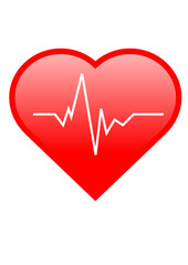 Herz EKG