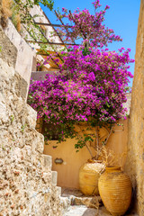 greece monemvasia traditional view of stone houses with colorful - 57649780