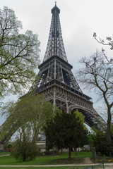 Eiffel Tower Through Trees with Path