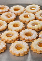 Macro shot of delicious jam cookies-Linzers