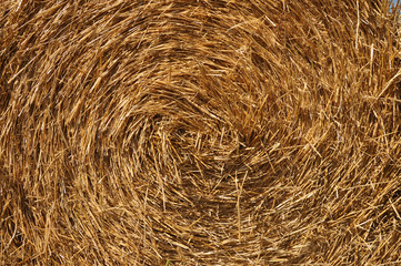 natural background of straw
