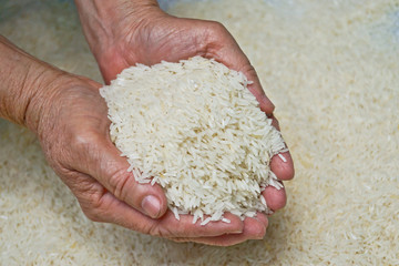 old hand holding rice
