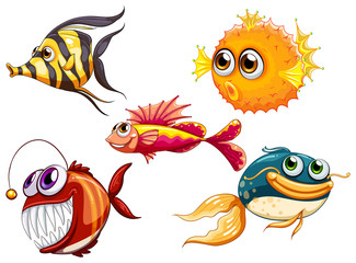 A group of sea creatures