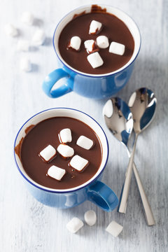 hot chocolate with small marshmallows