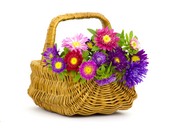 Fototapeta na wymiar Bouquet of colorful asters flowers in a basket