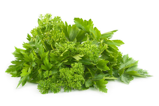 Fresh parsley and celery.
