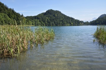 Alpine Lake