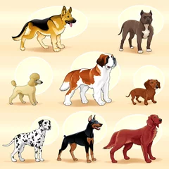 Fotobehang Groups of dog. © ddraw
