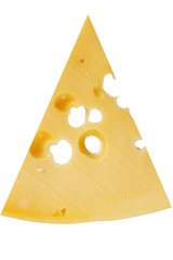 piece of Swiss cheese