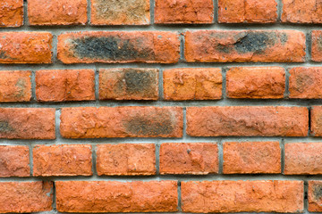 Brick wall. Background.