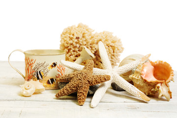 seashells composition