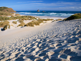 Beach and dunes