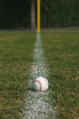Baseball on the Outfield Chalk Line