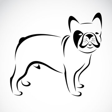 Vector image of an dog (bulldog)