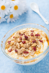 homemade natural yogurt with maple syrup, granola and nuts