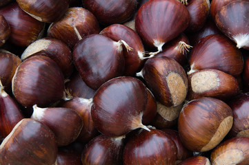 Castagne