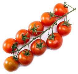 tomatoes on a branch