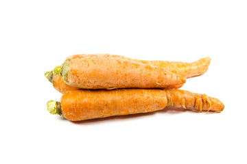 Frische Karotten
