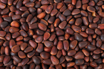 Background of cedar nuts