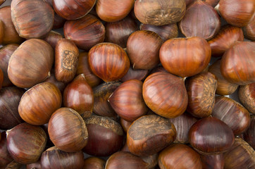Delicious group of chestnuts close up background