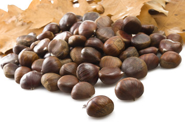 Delicious group of chestnuts close up background