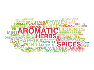 Variety of aromatic herbs and spices. Word cloud concept