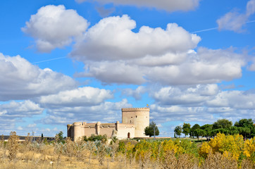 Fototapeta na wymiar Castillo de Arevalo, Avila, España