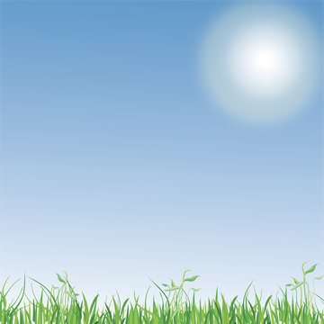 The Sky with Grasses