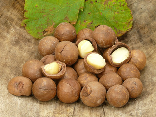 Macadamianüsse